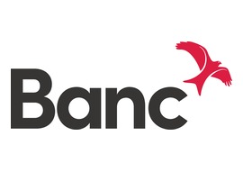 development_bank_of_wales